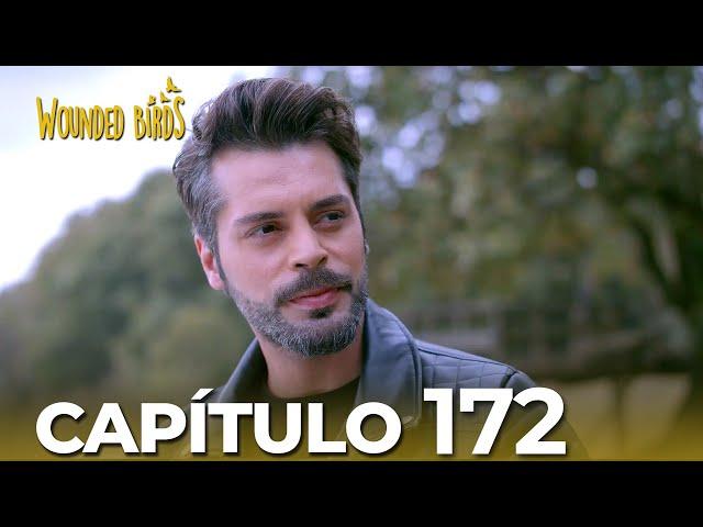 Omer Sueños Robados |  Capítulo 172