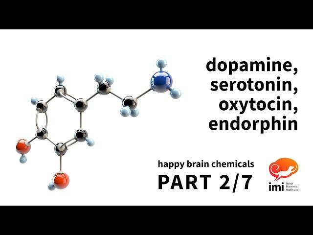 Dopamine, Serotonin, Oxytocin, Endorphin (#2 of 7) - Happy Brain Chemicals