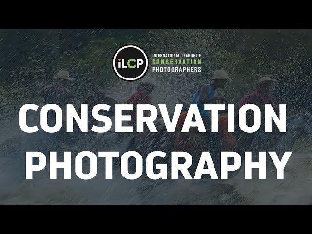 Witness: Defining Conservation Photography (iLCP)