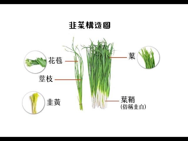 20220708-心得：天時、地利、人合。