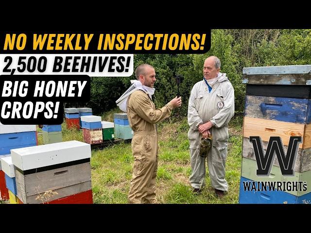 How To Manage Thousands Of Beehives With David Wainwright. Wainwrights Bee Farm