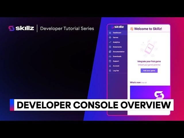 Developer Console Overview