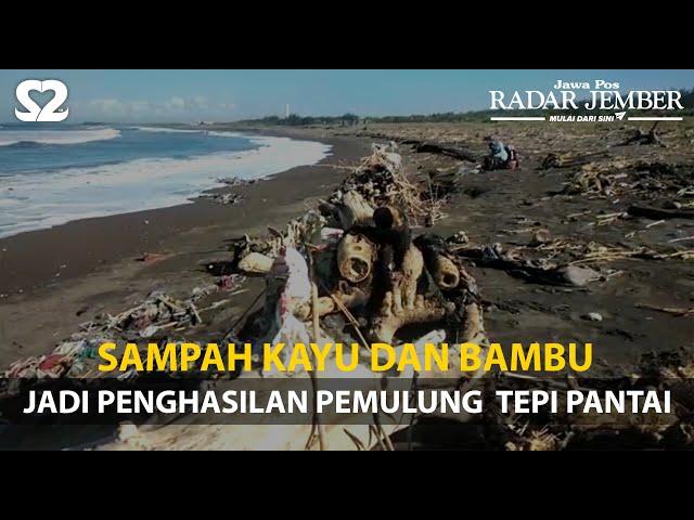 Sampah Kayu dan Bambu Jadi Penghasilan Pemulung  Tepi Pantai - RADARJEMBER.ID