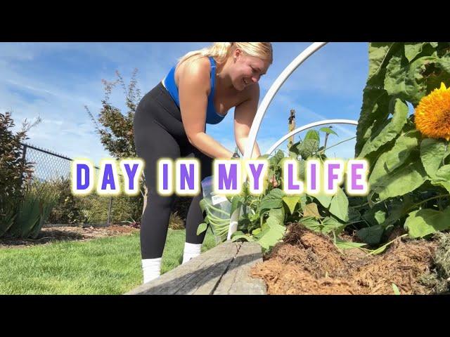 Day in my life - gym, house tour, pumpkins