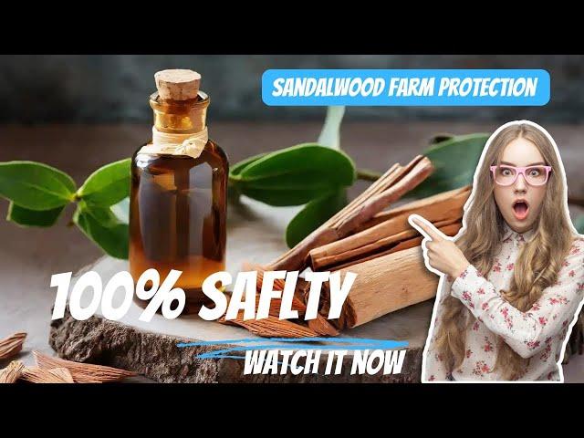 Sandalwood farm protection