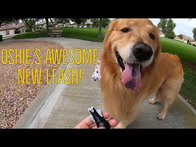 Gear Fur The Greatest Leash Ever? | Oshies World