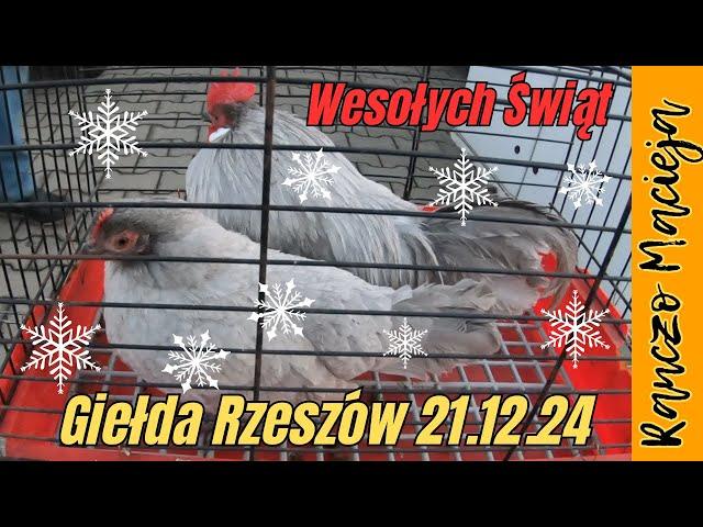 Giełda Rzeszów 21.12.24 #448 [4K]