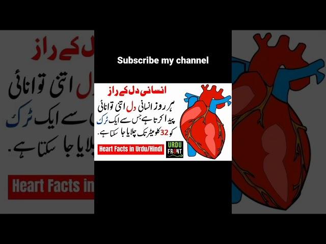 heart facts amazing facts#youtubeshorts  #facts  #bint-saleh