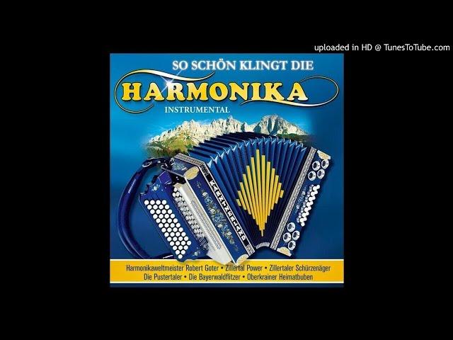 tiroler alpensterne - der harmonicaspieler