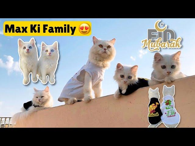 Eid Special Vlog || Max K Babies Aa Gay |Rehan & Max