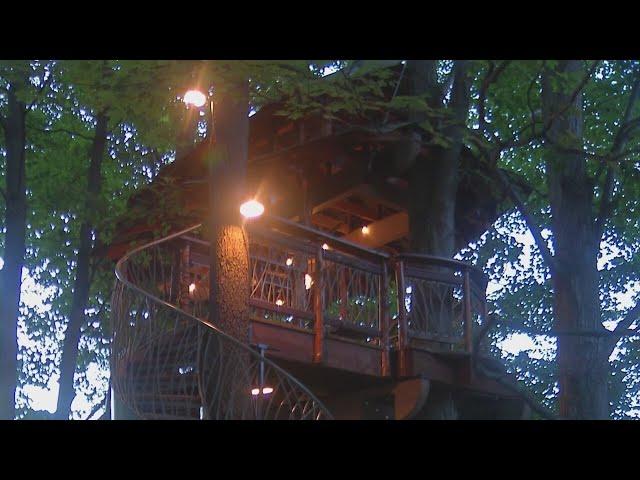 As the blueberries grow, so too does The Blueberry Treehouse Farm