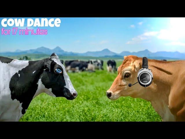 FUNNY COW DANCE FOR 17 MINUTES│ Cow Song & Cow Videos 2024 | Cow music | funny dancing cow