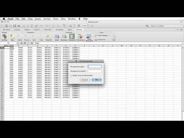 How to Set a Password to an Excel File