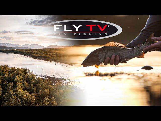 FLY TV - Epic DRY FLY Fishing for Big Grayling