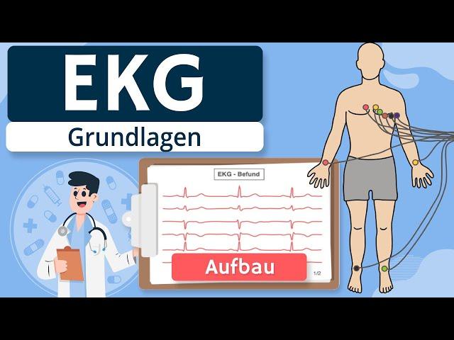 EKG - Grundlagen einfach erklärt (Entstehung, Ableitungen)