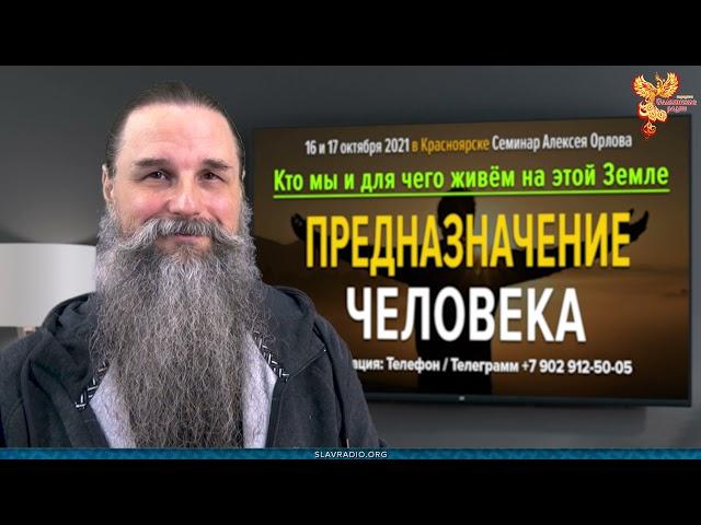 Когда определять предназначение человека? Алексей Орлов
