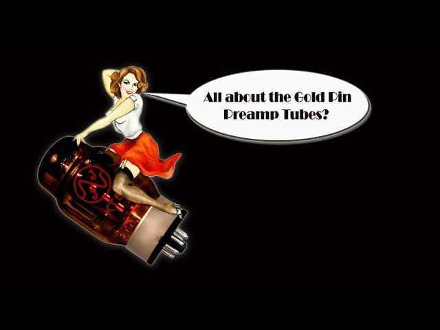 Eurotubes Gold Pin Preamp Tubes