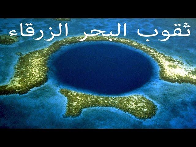 مكتبة العلوم | الثقب الأزرق في البحار