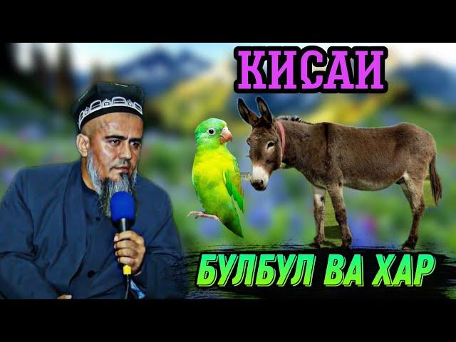 АЧОИБ КИСАИ ХАЁТИ БУЛБУЛ ВА ХАР! ДОМУЛЛО АБДУРАХИМ НАВ 2021