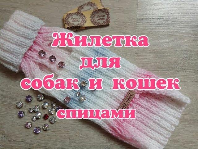 Жилетка спицами для собак и кошек