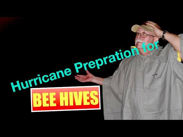 Hurricane Preparation for Bees