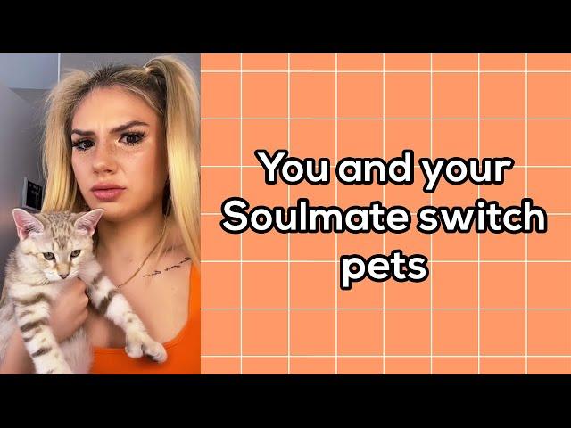 Bailey Spinn - You and Your Soulmate Switch Pets (Part 1-10) (TikTok Pov)