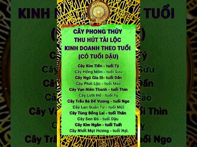 Cổ Nhân Nói Phong Thủy Chiêu Tài Hút Lộc Cải Vận Cung Tài Bạch Đón May Mắn| Phong Thủy Tử Vi Nam Bùi