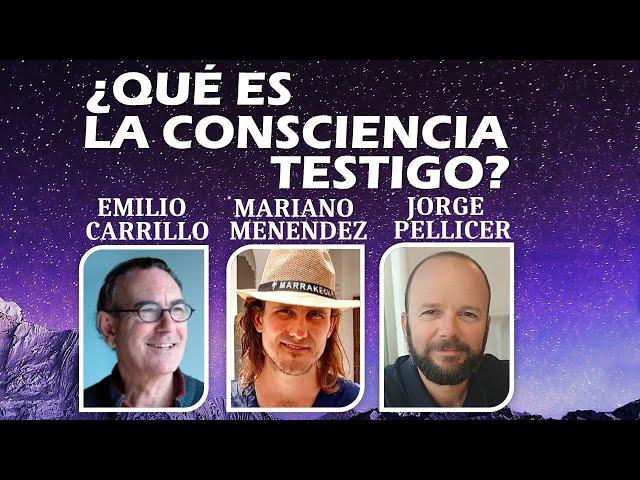 ¿QUE ES LA CONSCIENCIA TESTIGO?  Carrillo, Pellicer, Menéndez