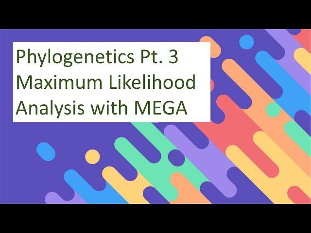 Phylogenetics Tutorial - Maximum Likelihood Analysis with MEGA