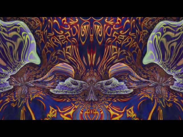 Tipper Ambient Set @ CoSM   Jan 4, 2015