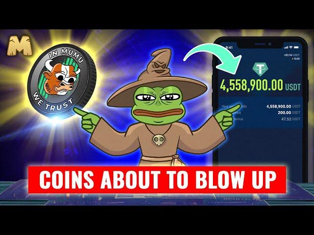 Bull coin about to explode?
