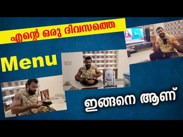 എന്റെ ഒരു ദിവസത്തെ MENU ദാ ഇങ്ങനെ | VIVEK GOPAN | VLOG |