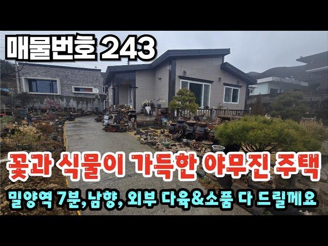 [매물번호 243]  꽃과 식물이 가득한 야무진 주택, 밀양역7분, 남향, 외부의다육&소품 다 드릴게요#밀양부동산 #밀양전원주택 #밀양촌집 #밀양삼랑진주택