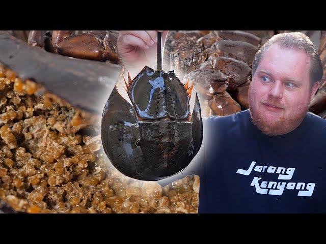 Horseshoe Crab Cooked in Creamy Coconut Sauce?! - Hungry Brit Abroad