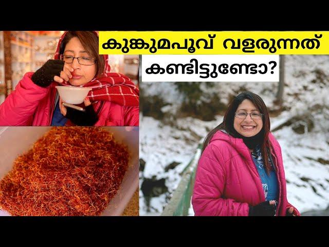 PEHALGAM യാത്രയും കുങ്കുമപൂവ് പാടങ്ങളും BARBEQUE FOOD STREETഉം | KHAYAMAREA