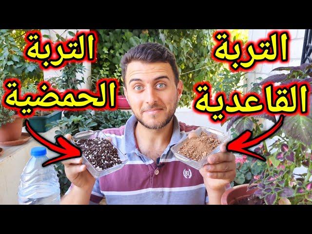كل شيء عن التربة القلوية القاعدية والتربة الحمضية