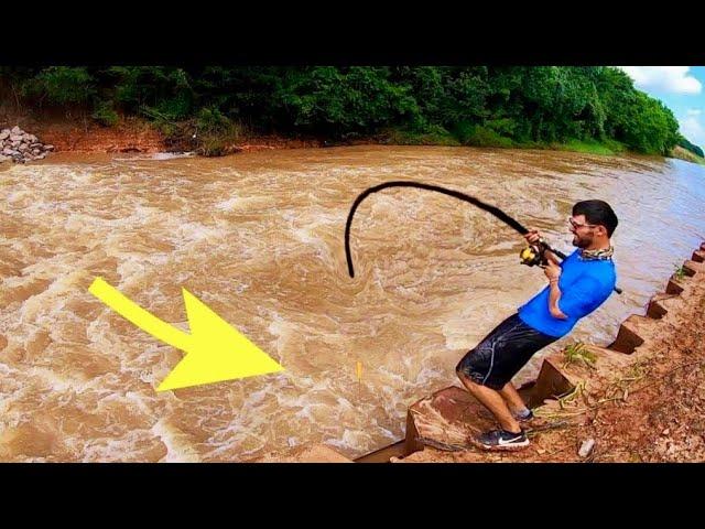 FLOODED CREEK MONSTER is RIGHT UNDER MY FEET!!!