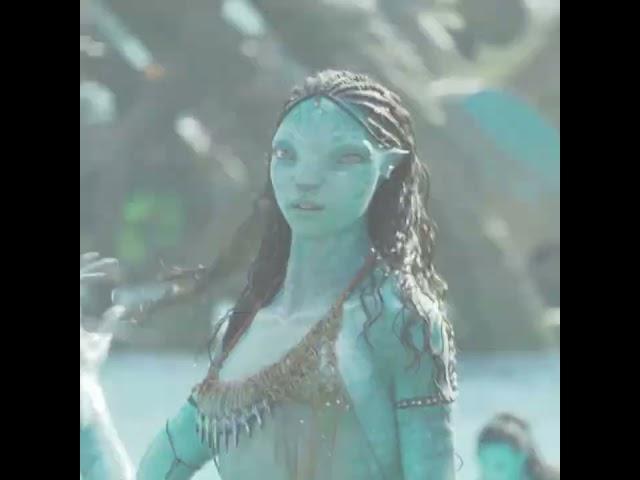 Everybody Knows #avatar #avatar2 #loak #tsireya #neteyam #neytiri #edit