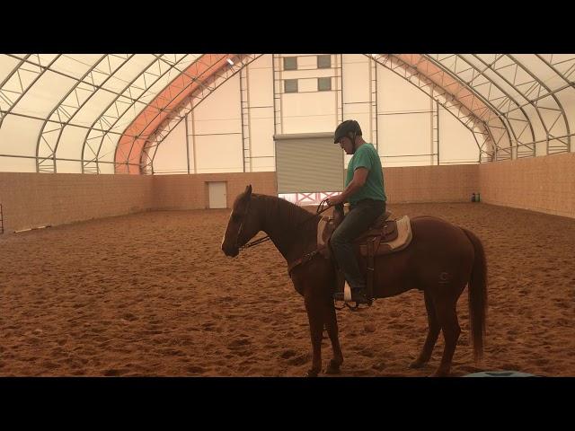 David Salter Riding Test 1
