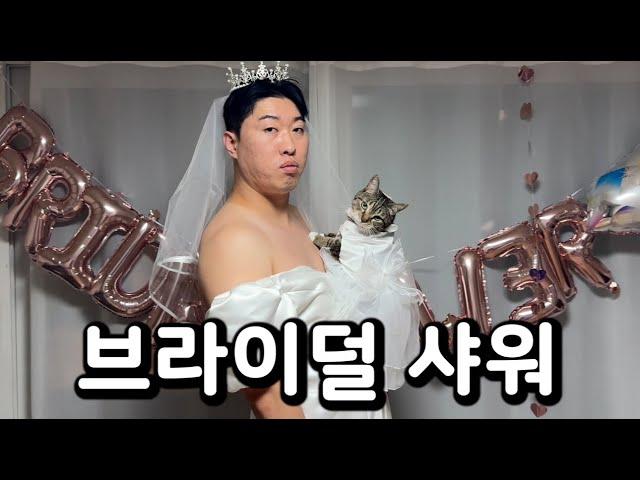 고양이랑 브라이덜 샤워 해봤어?