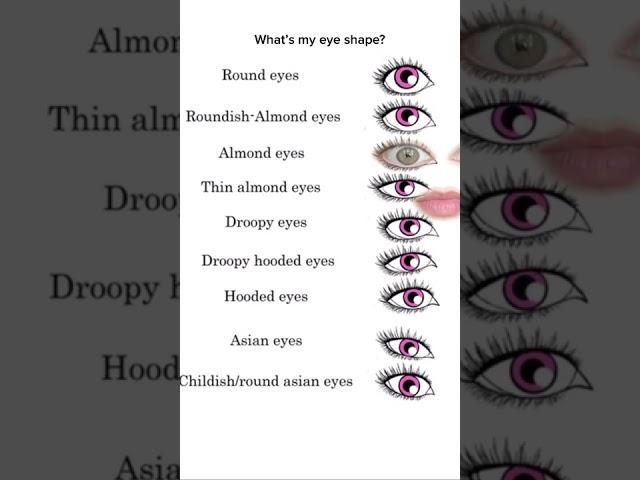 What’s my eye shape?