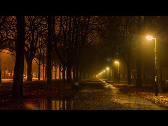 Regengeräusche zum Einschlafen - das Regengeräusch allen Stress abzubauen und gut zu schlafen