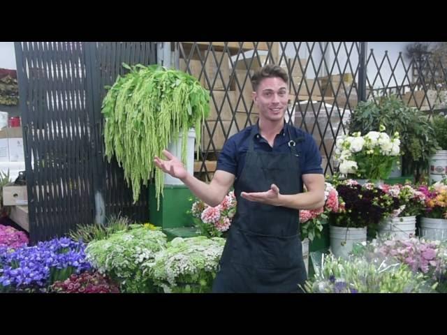 Matthew's Intro to American School of Flower Design and the Michael Gaffney Flower Design Technique