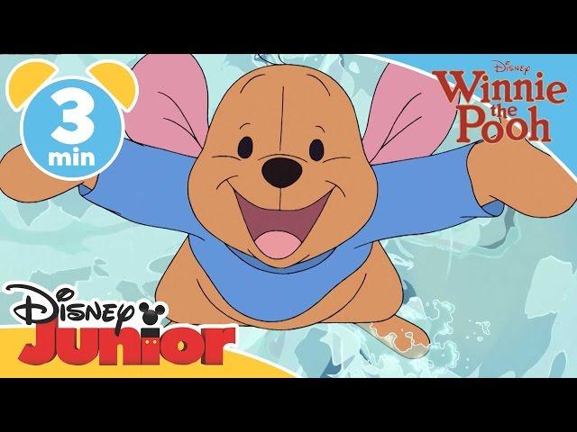 The Mini Adventures of Winnie the Pooh | Roo and Lumpy | Disney Junior UK