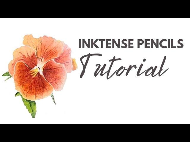 Botanical Painting using Inktense Pencils