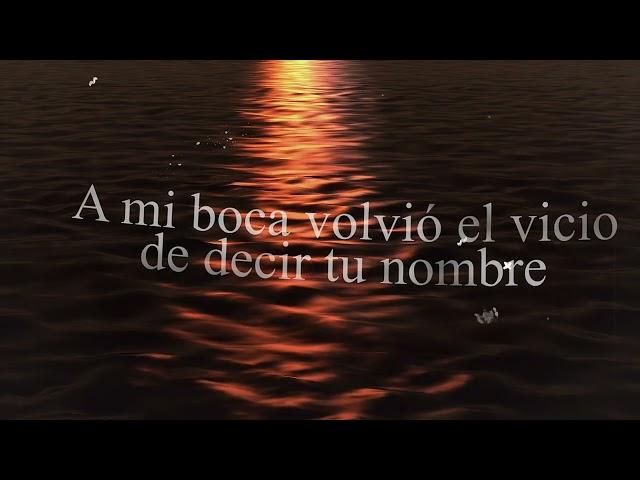 Regresó tu recuerdo - Carlos Carreira / Salvador Aponte (Video Lyric)