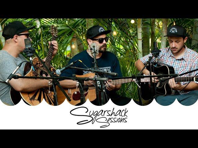 The Expanders - Visual LP (Live Music) | Sugarshack Sessions