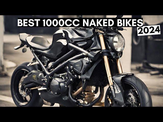 10 AMAZINGLY SuperNaked Bikes [2024 EDITION]