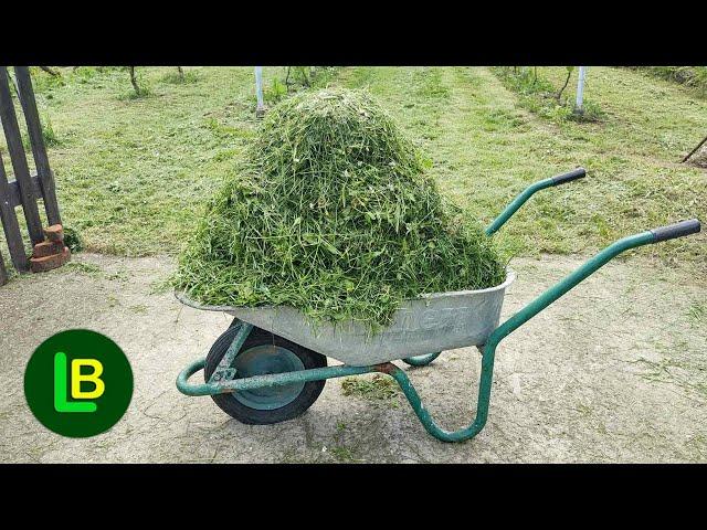 Whan you see this, you'll never throw grass clippings in the trash again
