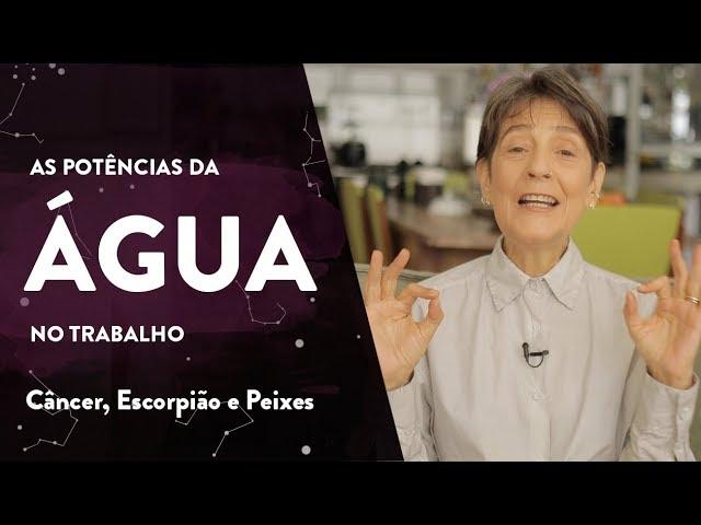 As potências do elemento Água no trabalho - Câncer, Escorpião e Peixes